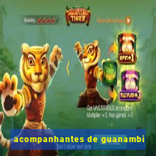 acompanhantes de guanambi